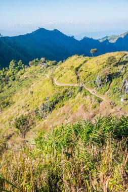 Tayland 'ın Chiangrai ilindeki Doi Pha Tang Dağı manzarası.