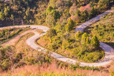 Chiangrai, Tayland 'da Doi Pha Tang yolu..