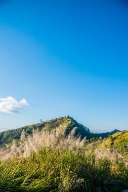 Tayland 'ın Chiangrai ilindeki Doi Pha Tang Dağı manzarası.