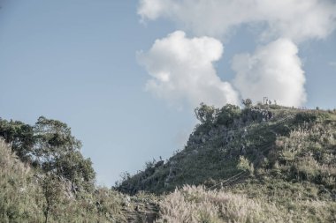 Tayland 'ın Chiangrai ilindeki Doi Pha Tang Dağı manzarası.