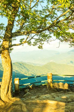 Doi Pha Tang 'ın Chiangrai, Tayland' daki görüş açısı.