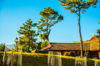 Doi Pha Tang Sarayı Doi Inthanon Ulusal Parkı, Tayland.