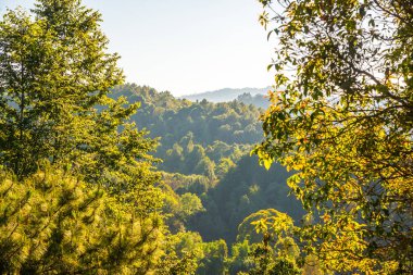 Doi Inthanon Ulusal Parkı, Tayland Dağ Manzarası.