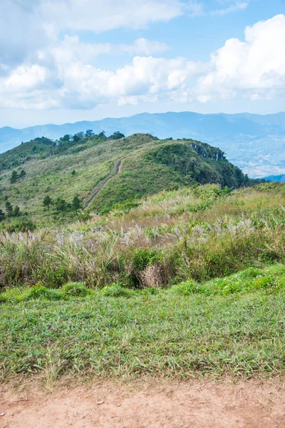 Chiangrai, Tayland 'daki Phu Chi Fa Dağı manzarası.