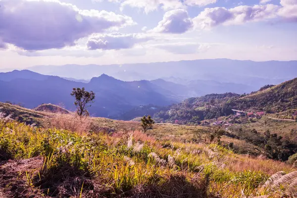 Tayland 'ın Chiangrai ilindeki Doi Pha Tang Dağı manzarası.