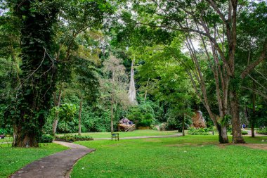 PHAYAO, THAILAND - 18 Aralık 2016: Phu Sang Milli Parkı, Phayao Eyaleti.