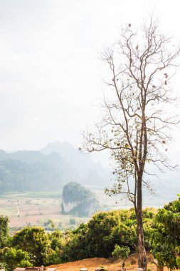 Phu Langka Ulusal Parkı, Tayland Güzel Manzarası.