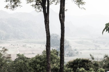 Phu Langka Ulusal Parkı, Tayland Güzel Manzarası.