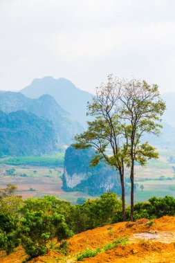 Phu Langka Ulusal Parkı, Tayland Güzel Manzarası.