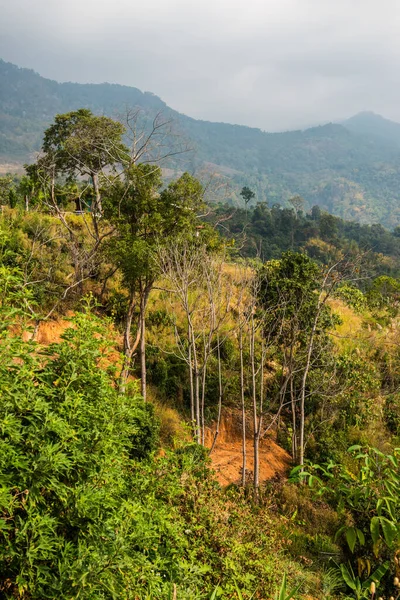 Phu Langka Ulusal Parkı, Tayland Güzel Manzarası.