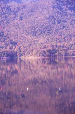Tayland 'ın Chiangmai ilindeki Huay Tueng Tao gölünün manzara manzarası.