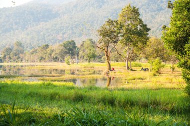 Tayland 'ın Chiangmai ilindeki Huay Tueng Tao gölünün manzara manzarası.