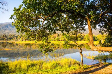 Tayland 'ın Chiangmai ilindeki Huay Tueng Tao gölünün manzara manzarası.