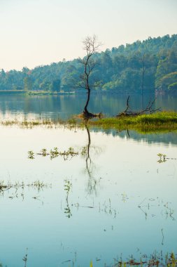 Tayland 'ın Chiangmai ilindeki Huay Tueng Tao gölünün manzara manzarası.