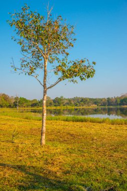 Tayland 'ın Chiangmai ilindeki Huay Tueng Tao gölünün manzara manzarası.