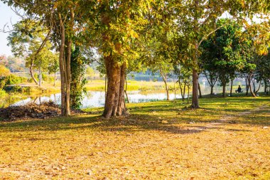 Tayland 'ın Chiangmai ilindeki Huay Tueng Tao gölünün manzara manzarası.