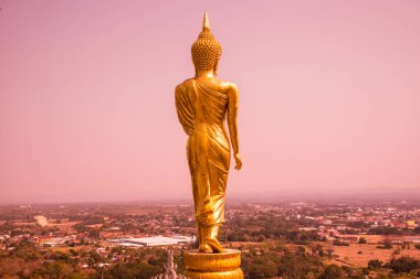 Phra 'da yürüyen altın Buda heykeli. Khao Noi tapınağı, Tayland.