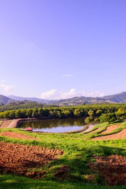 Tayland 'ın Chiang Rai eyaletindeki güzel park..