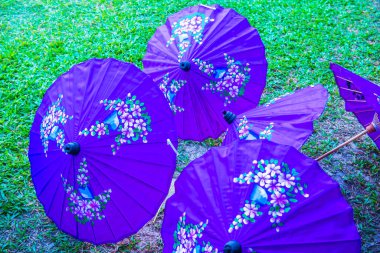 Tayland 'ın yerli şemsiyesi..