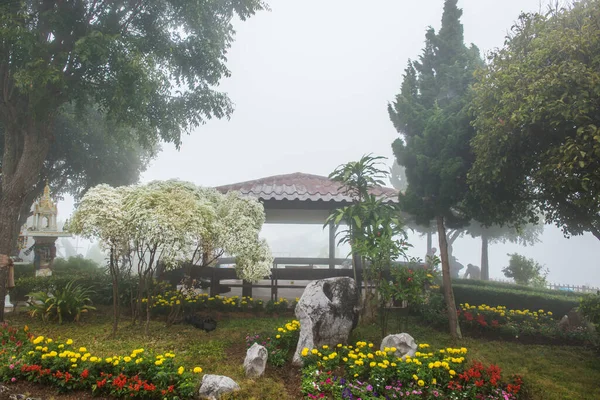 Public rest house with mist in winter season at Phayao province, Thailand.
