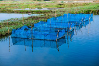 Tayland 'da balık kafesleri.