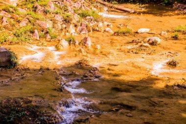 Su, Doi Phu Nang Ulusal Parkı, Tayland 'da akıyor..