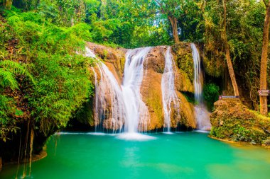 Tansawan Şelalesi Doi Phu Nang Ulusal Parkı, Tayland.