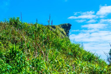 Chiangrai Eyaleti, Tayland 'da Phu Chi Fa.