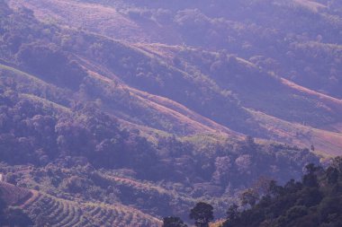 Tayland 'ın Chiangrai eyaletindeki Doi Pha Tang' da Dağ Manzarası.