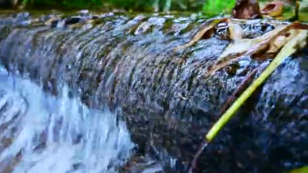 Água Flui Através Pequeno Córrego Província Chiang Mai Tailândia — Vídeo de Stock