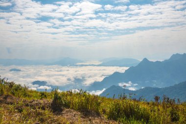 Chiangrai Eyaleti, Tayland 'daki Phu Chi Fa Manzara Noktasında Sis Denizi.