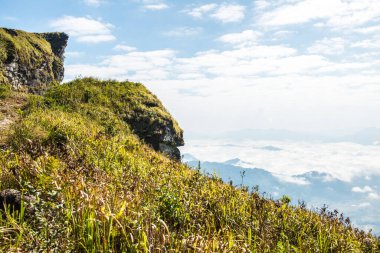 Chiangrai, Tayland 'da Fog Sea ile Phu Chi Fa Manzara Noktası.