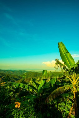Kwan Phayao Gölü, Tayland.