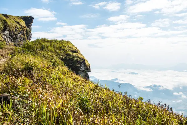 Chiangrai, Tayland 'da Fog Sea ile Phu Chi Fa Manzara Noktası.