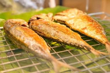 Tayland 'da Kızarmış Uskumru Balığı.