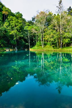 Tham Luang 'daki zümrüt havuz - Khun Nam Nang Orman Parkı, Chiang Rai.