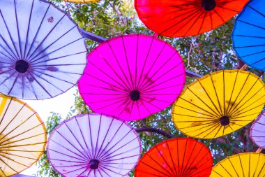 Tayland ana şemsiyesinin arka planı, Tayland.