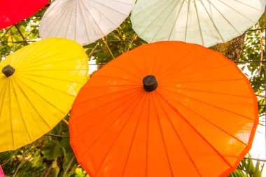 Tayland ana şemsiyesinin arka planı, Tayland.