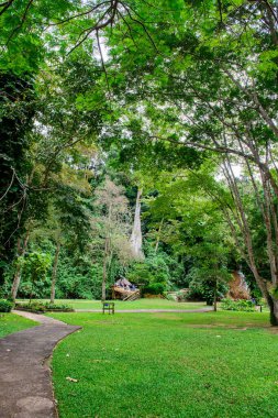 PHAYAO, THAILAND - 18 Aralık 2016: Phu Sang Milli Parkı, Phayao Eyaleti.