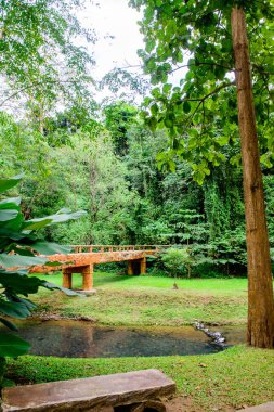 Phu Sang Ulusal Parkı, Phayao Eyaleti.