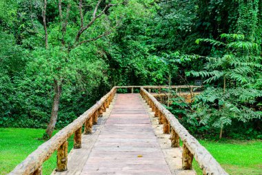 Phu Sang Ulusal Parkı, Phayao Eyaleti.