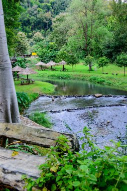 Phu Sang Ulusal Parkı, Phayao Eyaleti.