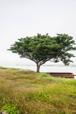 Phayao Gölü veya Kwan Phayao, Tayland 'da kış mevsiminde.