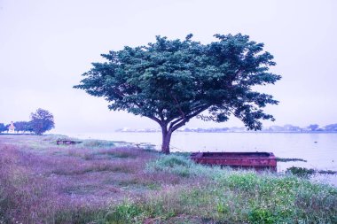 Phayao Gölü veya Kwan Phayao, Tayland 'da kış mevsiminde.