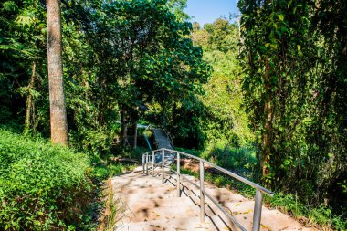 Ulusal Park, Tayland 'da beton merdiven.