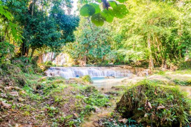 Tansawan Şelalesi Doi Phu Nang Ulusal Parkı, Tayland.