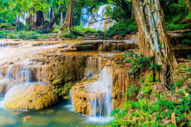 Doi Phu Nang Ulusal Parkı, Tayland.