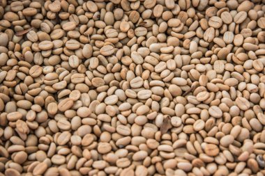 Background of coffee bean, Thailand.