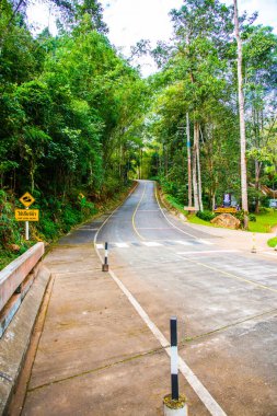 Tayland 'daki dağda küçük bir yol.