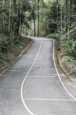 Tayland 'daki dağda küçük bir yol.